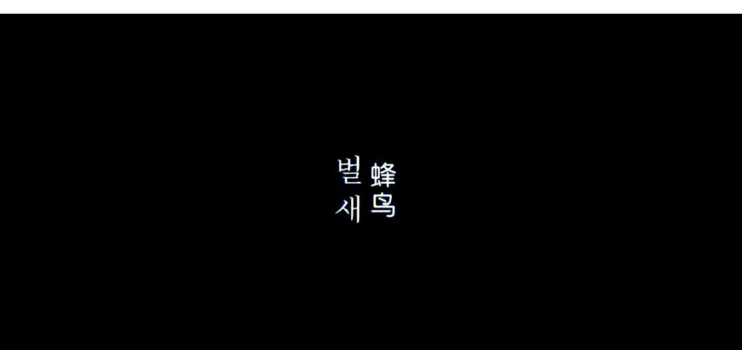 58影院在线观看 - 最新热播剧集电影免费高清无广告
