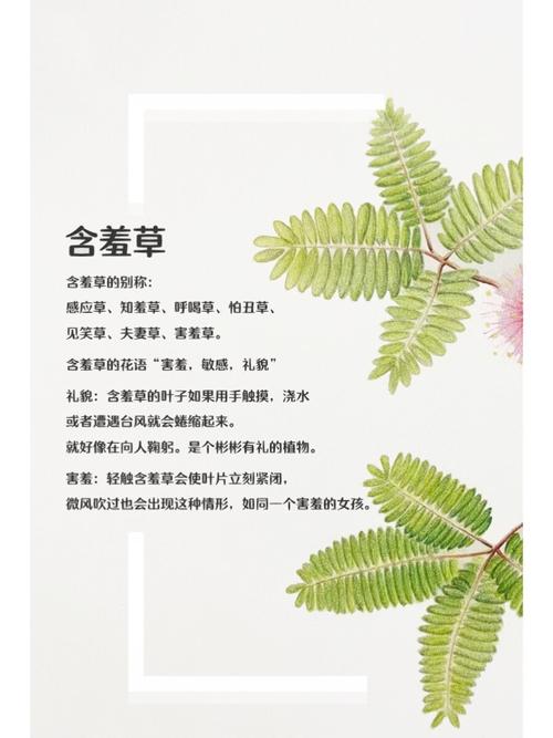 单单影院在线观看 | 2025最新电影电视剧免费追剧平台（高清无广告）