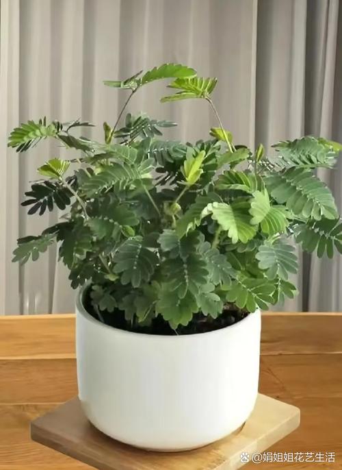 3A影院在线观看平台 - 最新高清影视资源推荐 | 免费追剧神器 | 无广告畅享观影体验