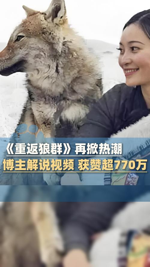 苍苍影院在线观看免费高清电影电视剧大全 - 最新影视资源推荐