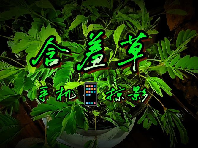 近期电影院热映推荐 | 2025年高分新片观影指南 | 长尾关键词：电影院最新上映电影、2025热门电影排行、周末观影推荐