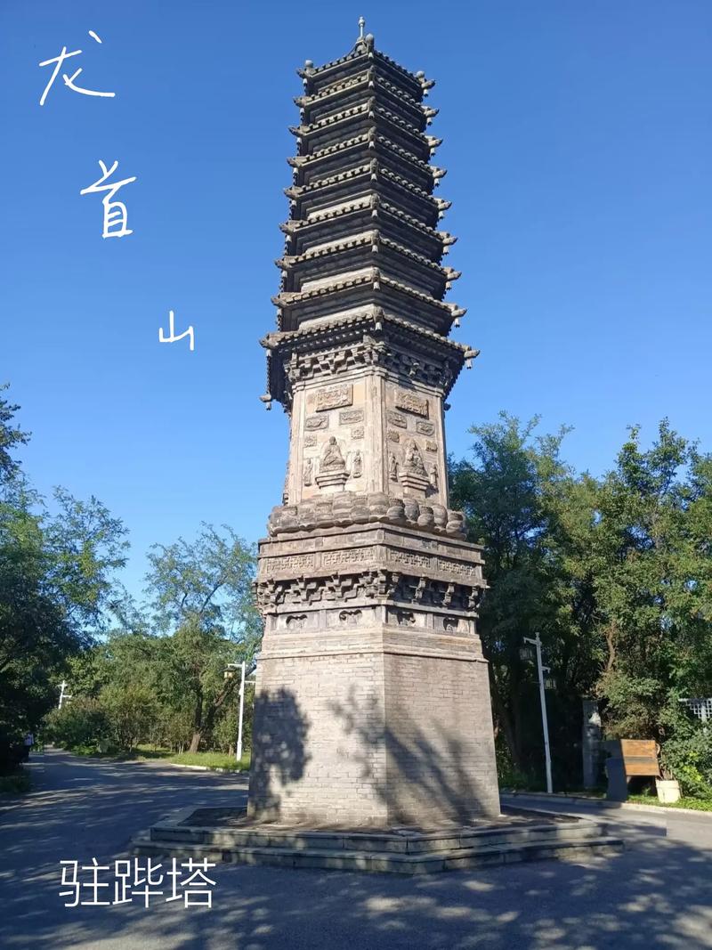 日本波的相关介绍
