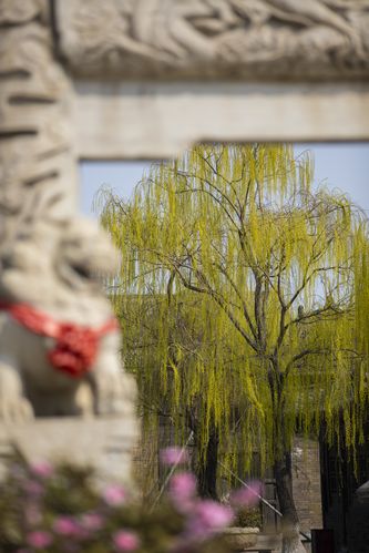 久久男人天堂网站的相关介绍