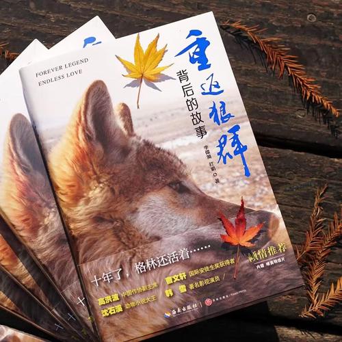 琪琪电影院手机网 - 最新高清免费电影在线观看，手机影院推荐，热播剧集抢先看