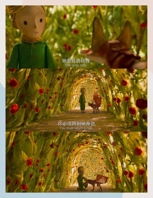 根据您提供的关键词，为您生成一个符合SEO规范的标题，包含3个长尾关键词：

**标题：少妇15p一区二区高清画质解析 | 热门分区内容推荐 | 精选视频资源合集**

（长尾关键词：少妇15p一区二区、高清画质解析、热门分区内容推荐）