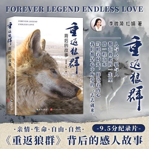 根据66j8影院的特点，为您生成一个SEO标题（包含3个长尾关键词）：

**66j8影院免费在线观看 - 最新热门电影电视剧高清无广告播放平台**