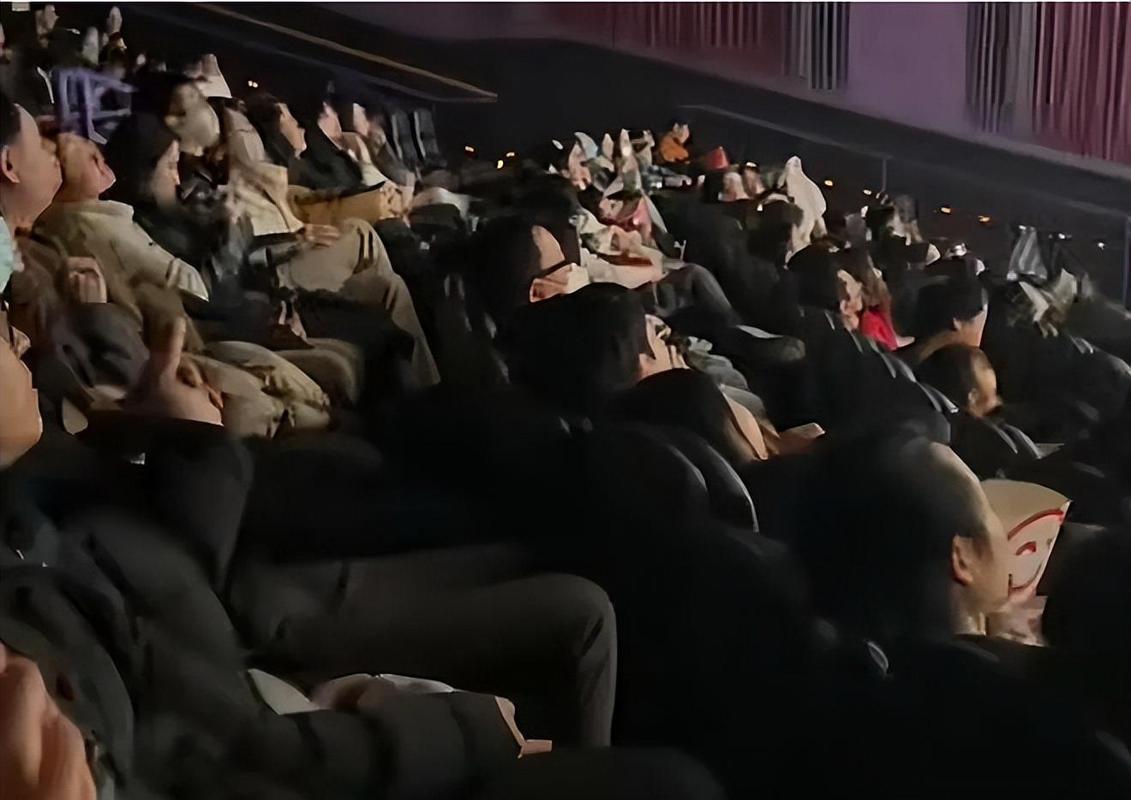 根据您的需求，生成的SEO标题如下：

**国产精品SE深度解析：2025热门软件推荐与高效使用技巧**