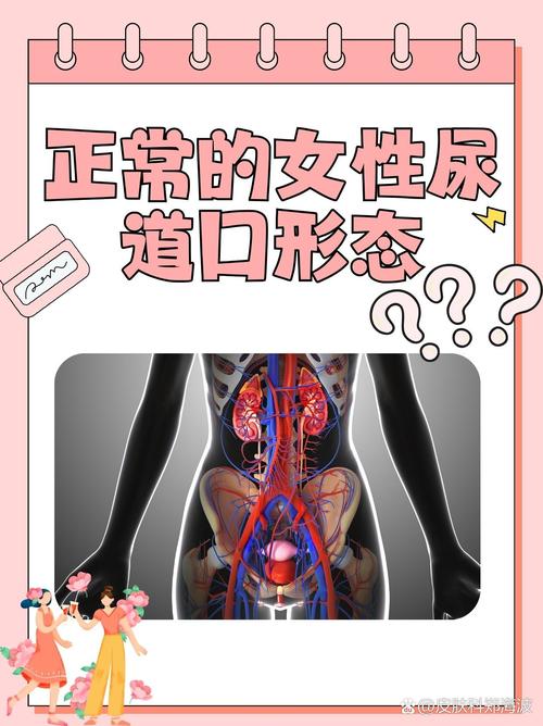 成人欧美一区二区三区在线湿哒哒的相关介绍